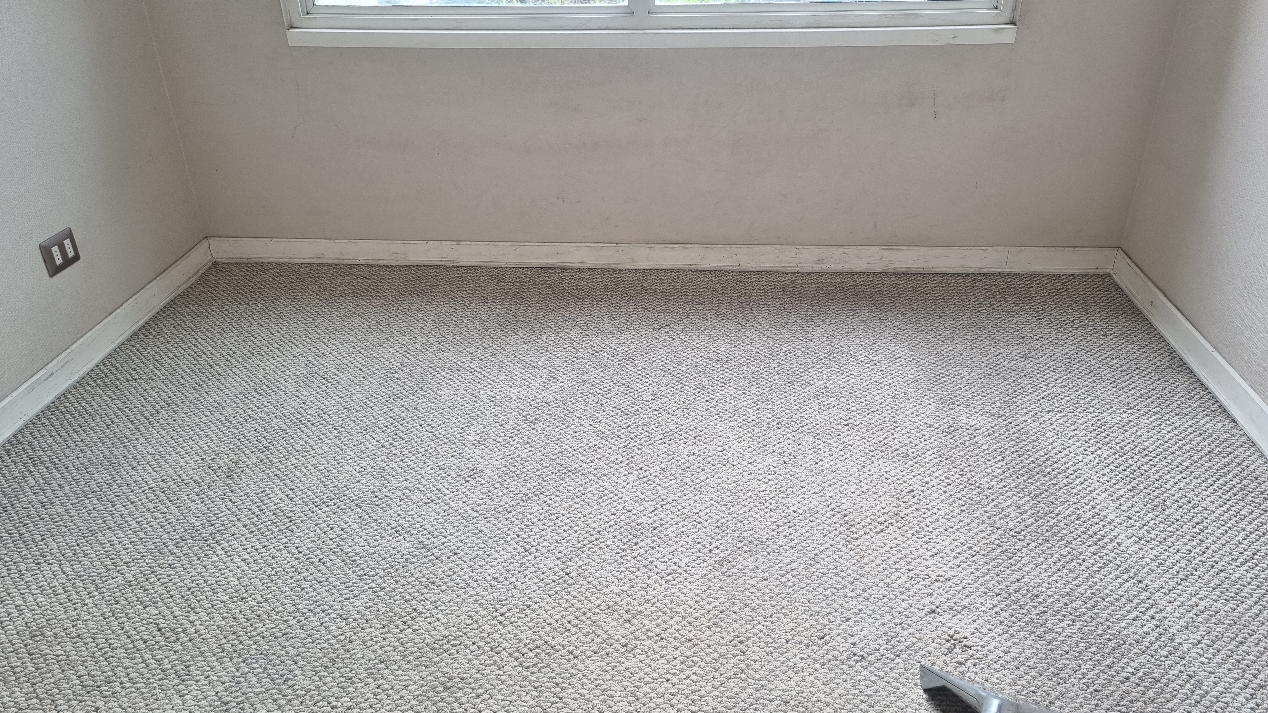 Limpieza profesional de alfombras Casa Limpia