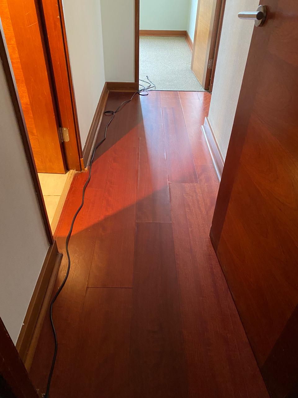Resultado de limpieza de alfombra Casa Limpia