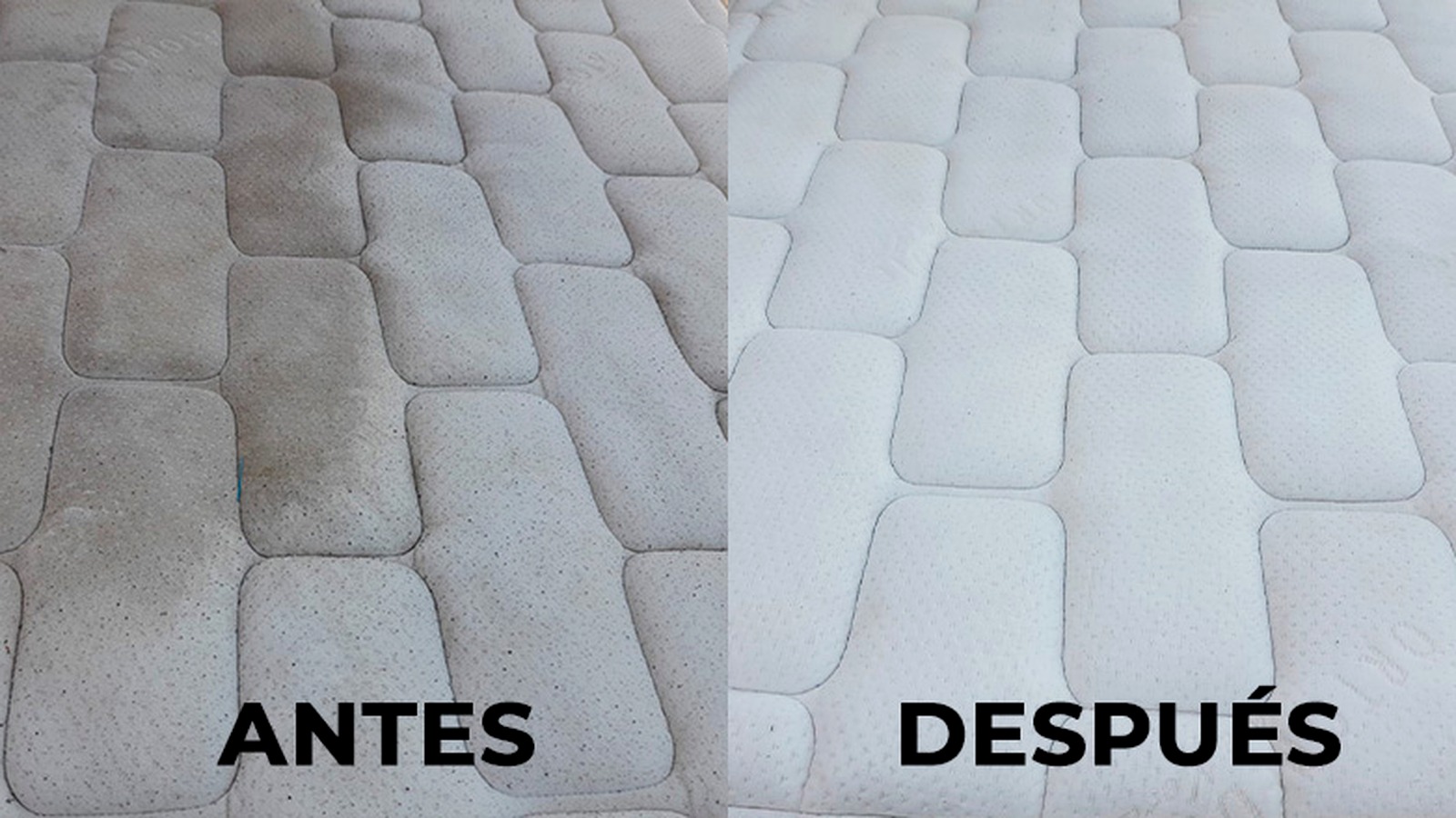 Antes y después de limpieza de colchón Casa Limpia